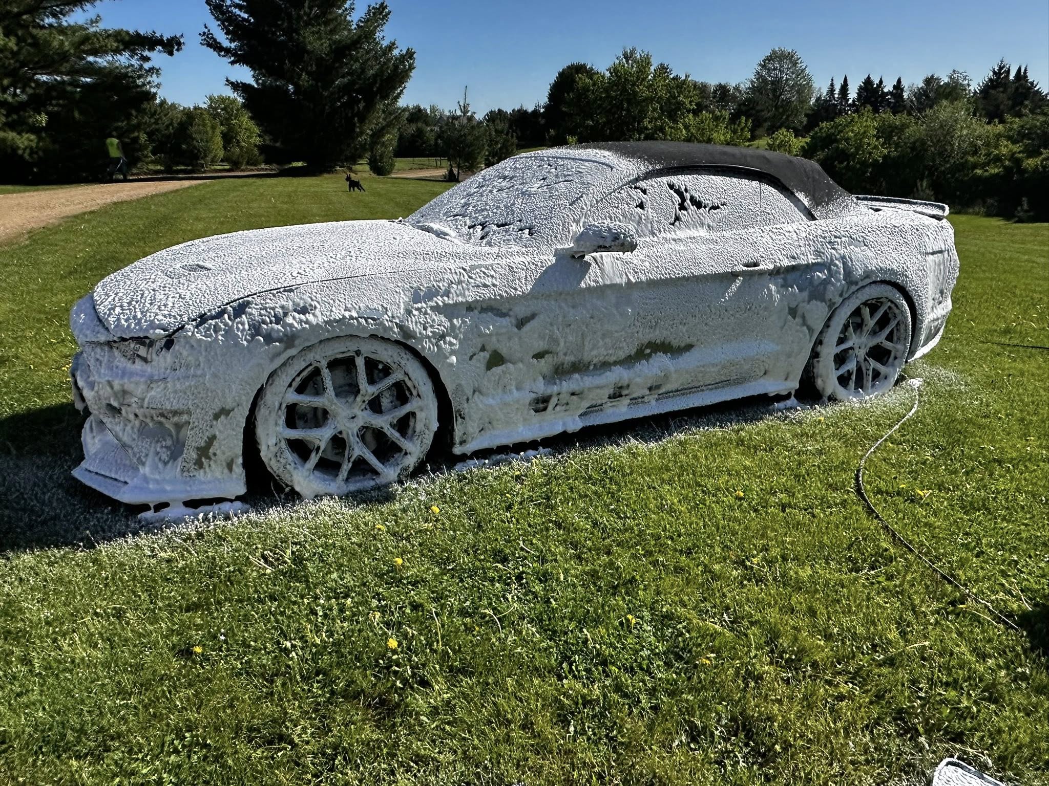 Car Foam Wax Shampoo + Veve cannon