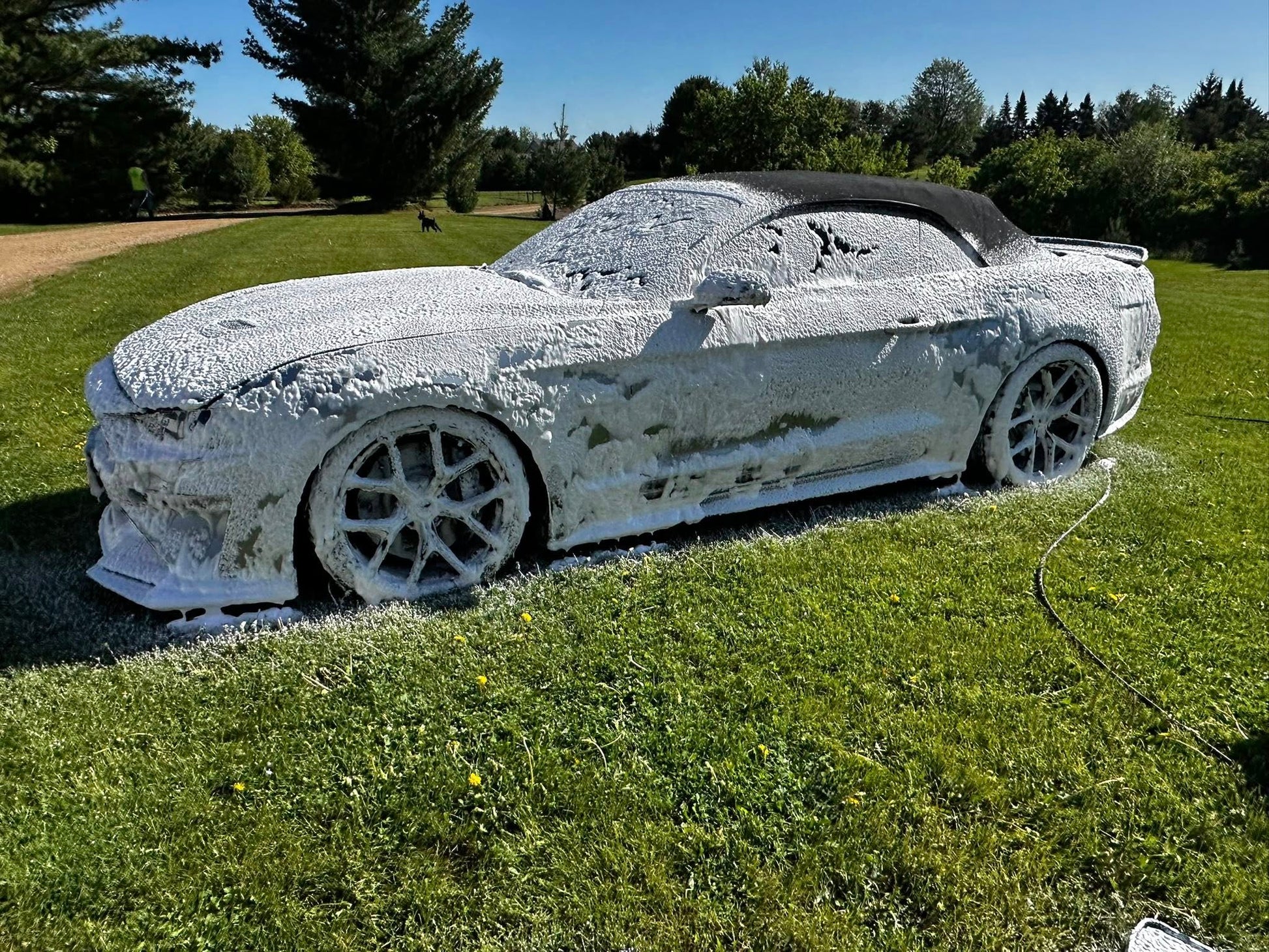 Car Foam Wax Shampoo + Veve cannon